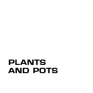PLANTS AND POTS